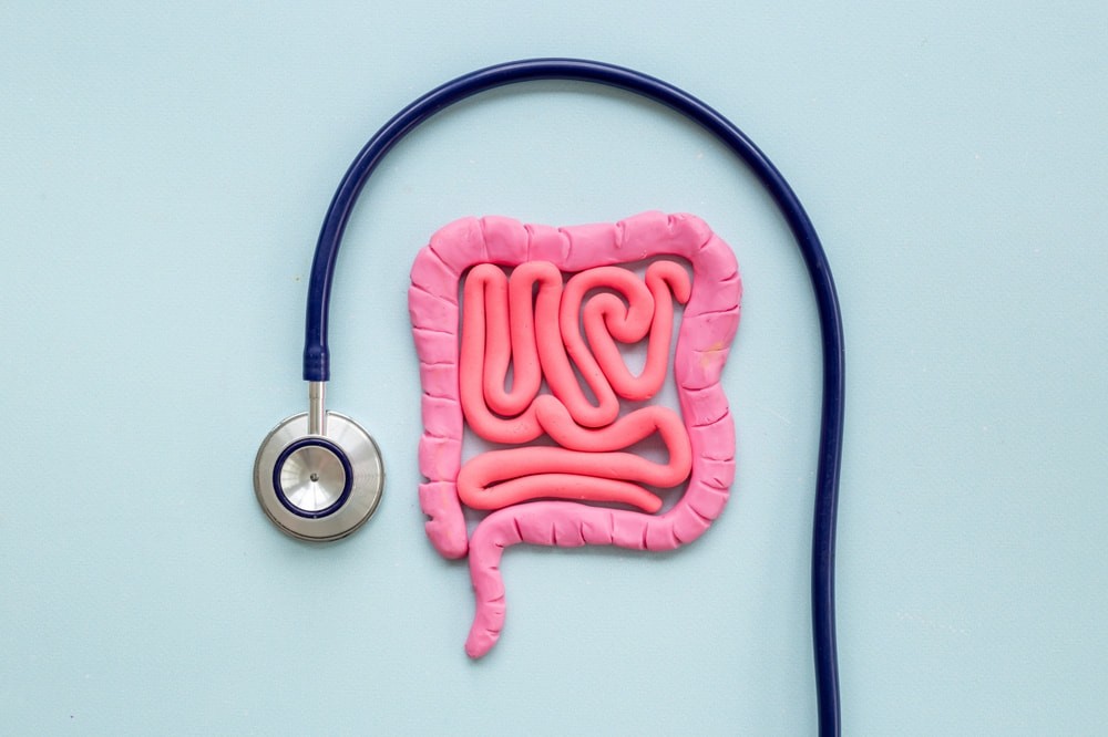 Ulcerative colitis is a condition of the large intestine.jpg